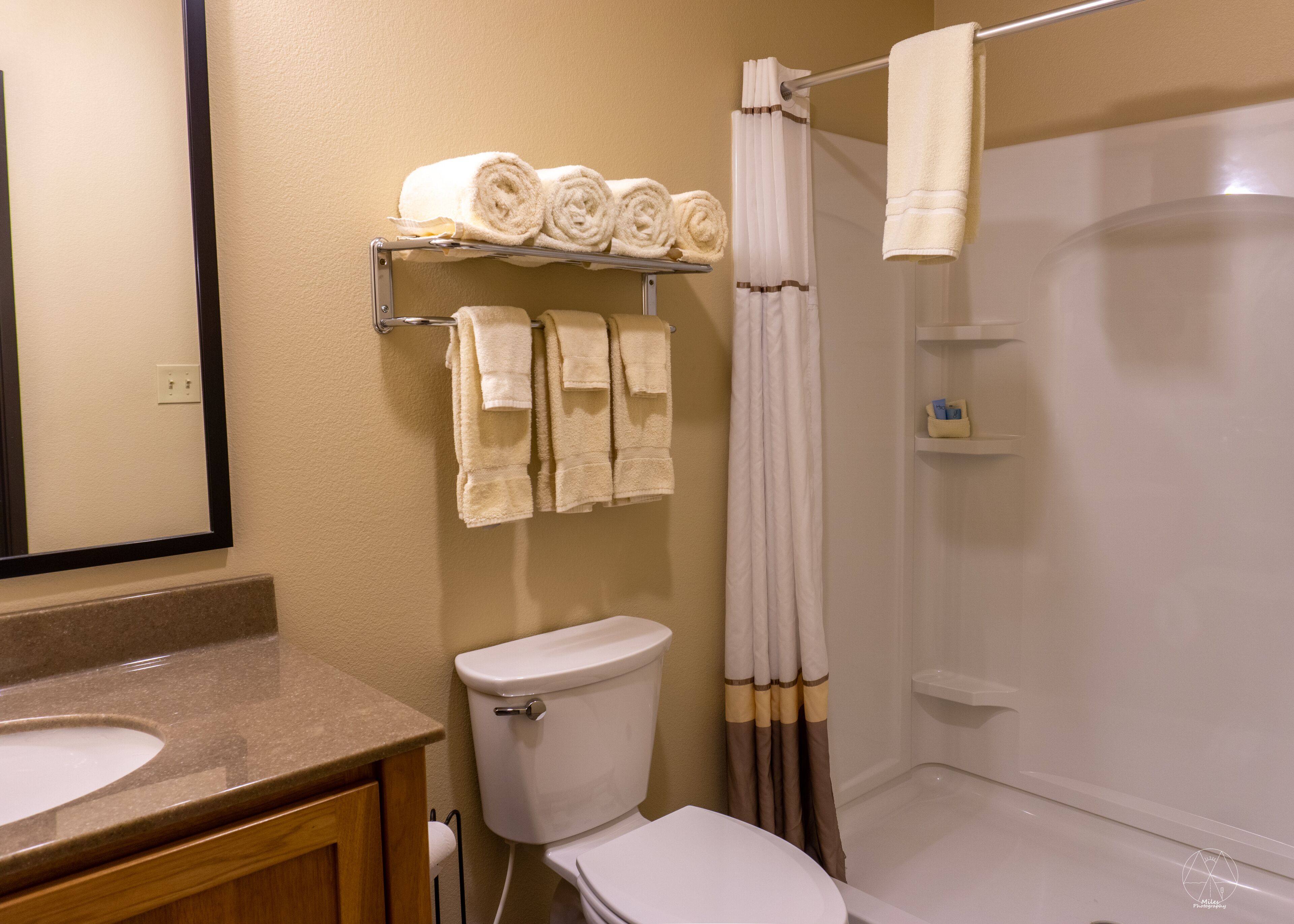 combined shower/bathtub, free toiletries, hair dryer, towels