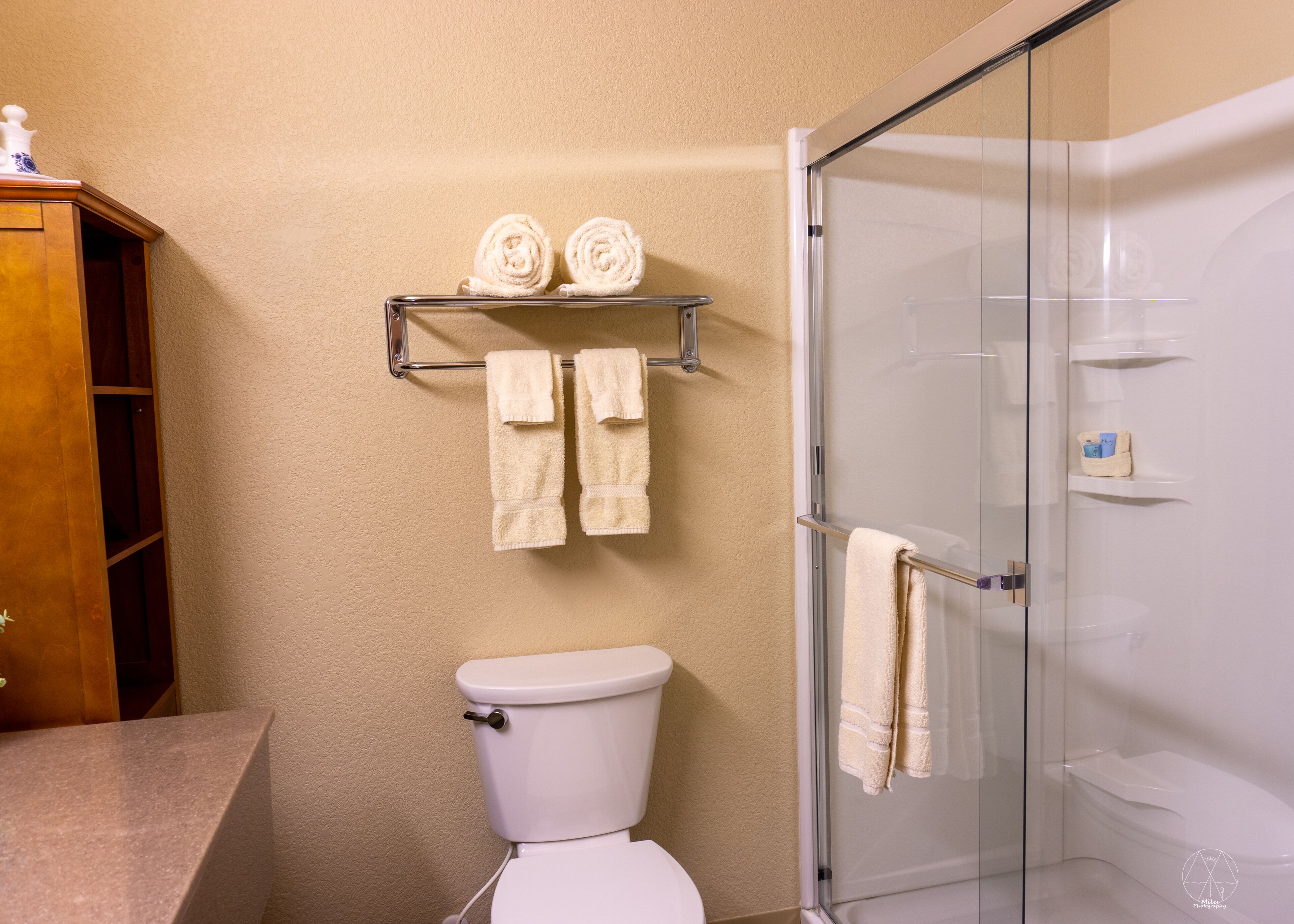 executive suite, 1 king bed | bathroom | combined shower/bathtub, free toiletries, hair dryer, towels