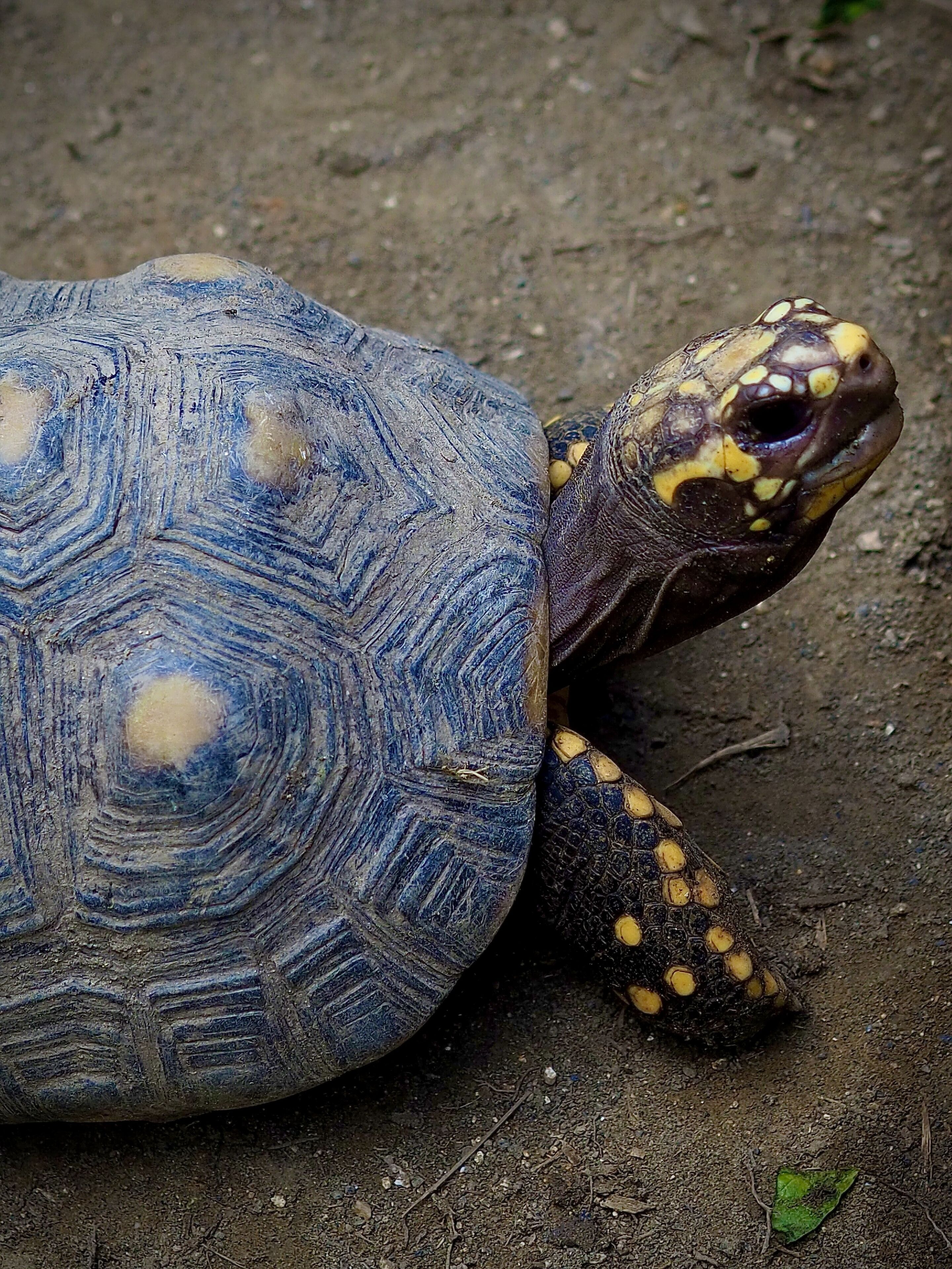 Photo - Reserva Natural Tierra Adentro