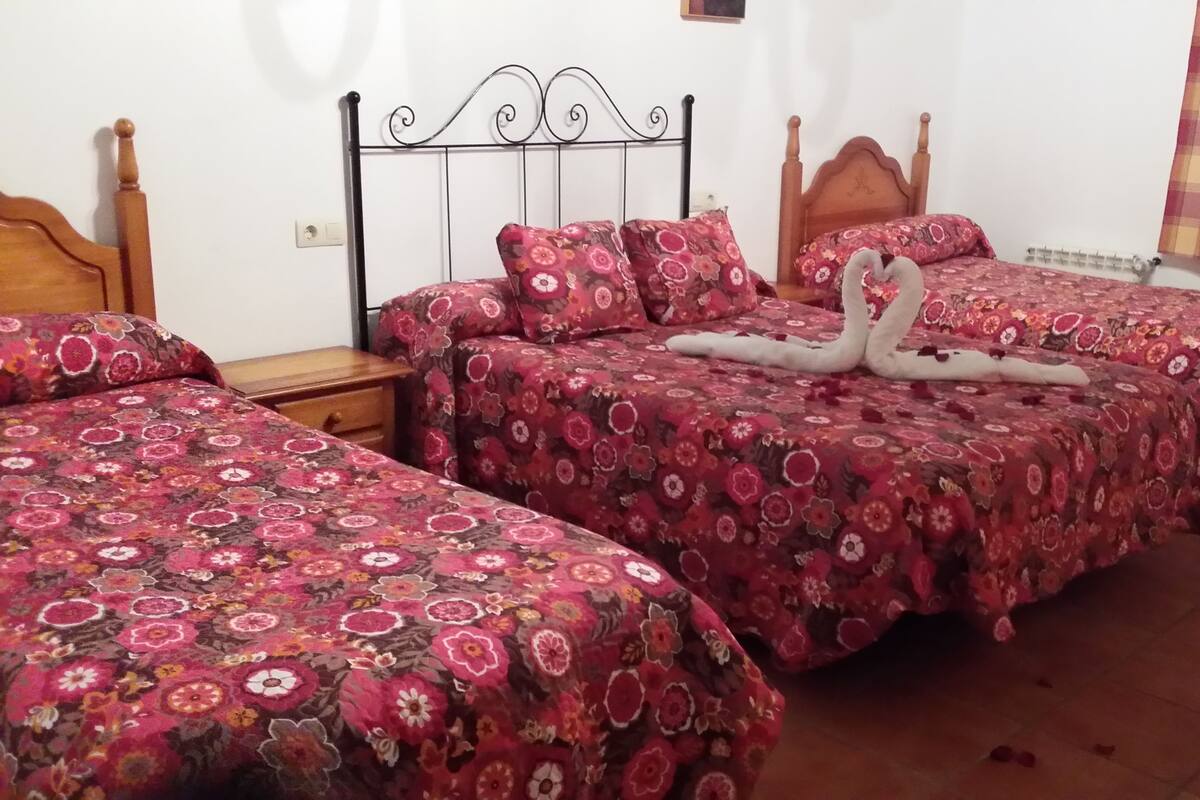 Double or Twin Room | WiFi (free), bed sheets