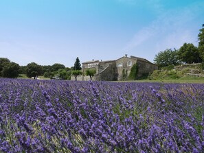 Un edificio de piedra con un jardín delantero.