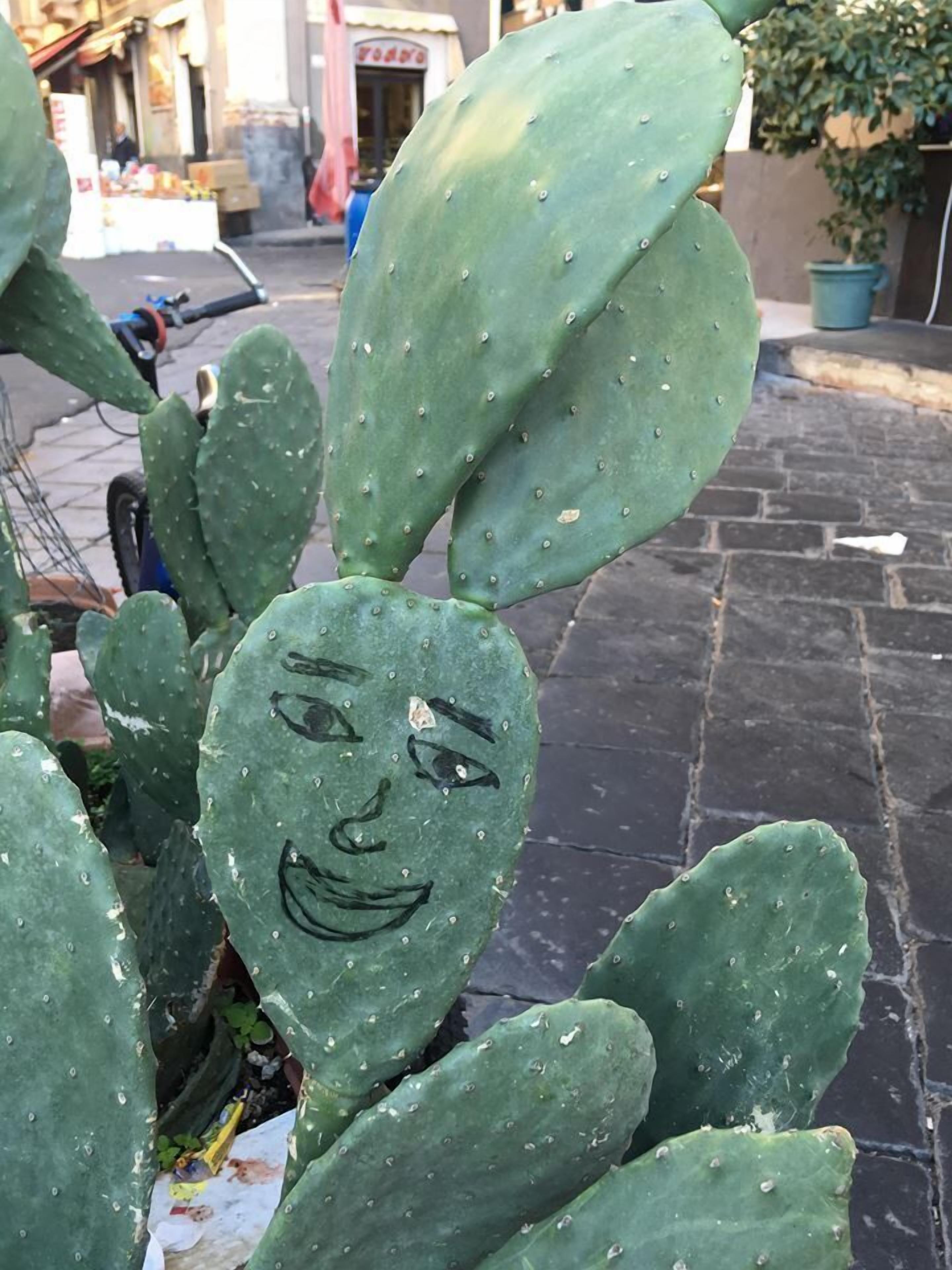 Photo - Casa Verdi - House of Travelers