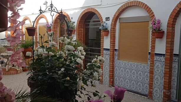Un patio con arcos de ladrillo, plantas en macetas y un muro de azulejos.