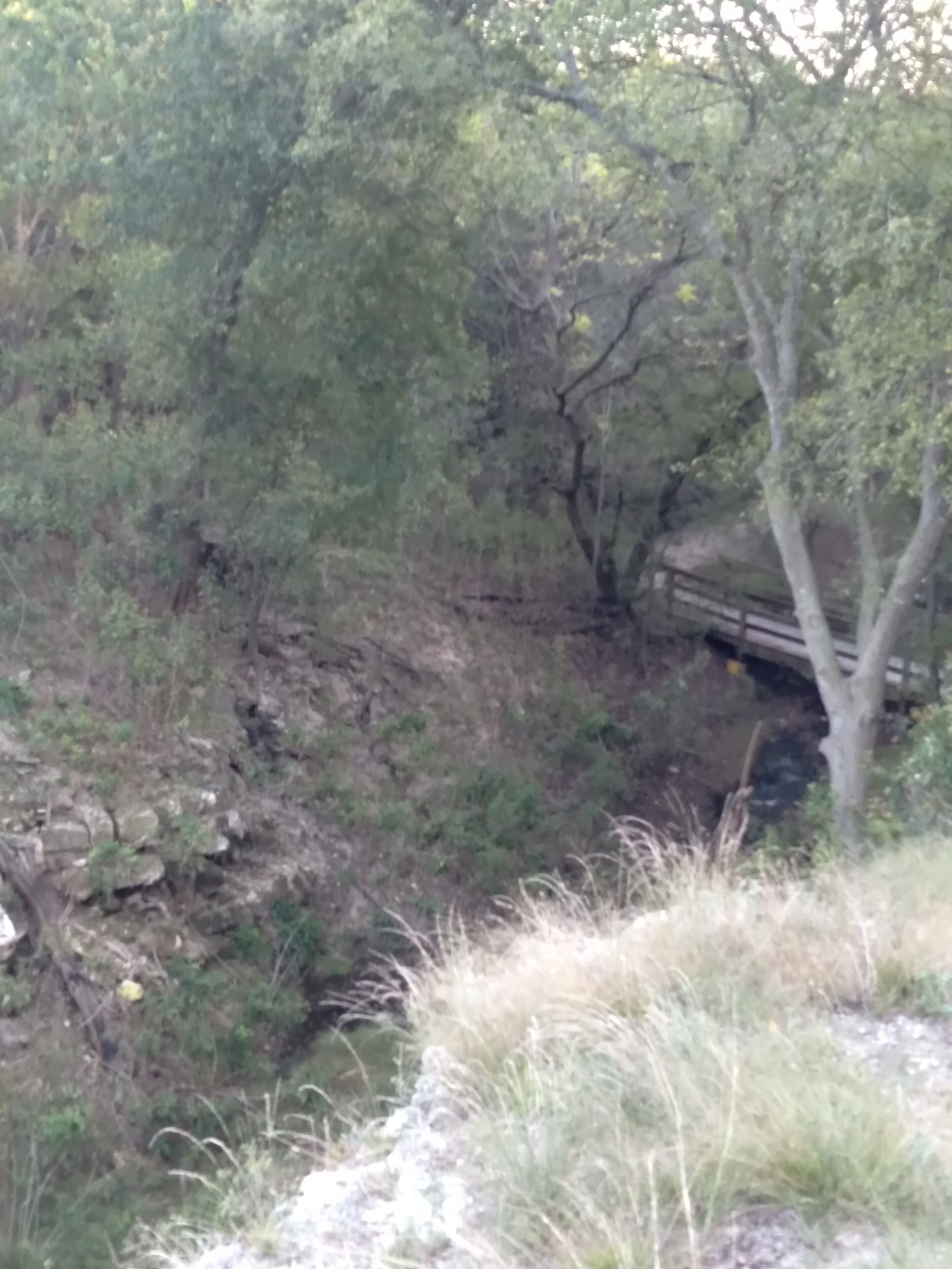 A natural landscape with a rocky terrain, dense foliage, and a wooden bridge.