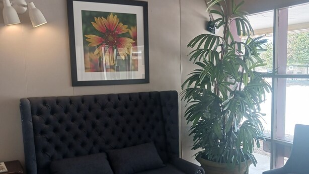 Una sala de estar con un sofá de color oscuro, un reposapiés blanco, una planta grande en maceta y una obra de arte floral enmarcada en la pared.