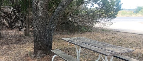 Une table de pique-nique sous un grand arbre, dans un parc.