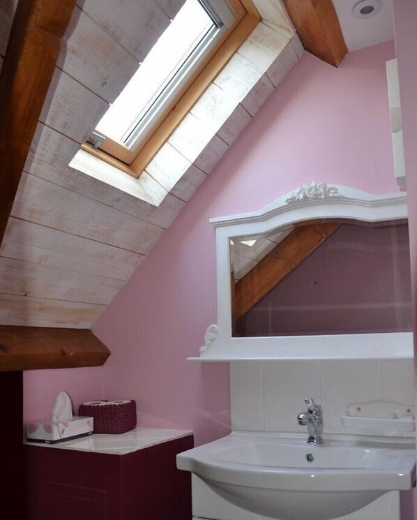 A bathroom with a skylight, a white sink, and a mirror above it. - Chambres D'hôtes Villa de Vienne-en-arthies (Vienne-en-Arthies)
