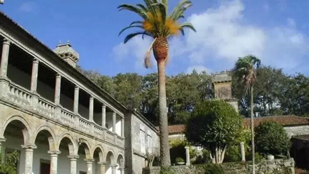 A historic building with a courtyard, featuring a palm tree and stone walls. - Pension Restaurante Vazquez (Vimianzo)