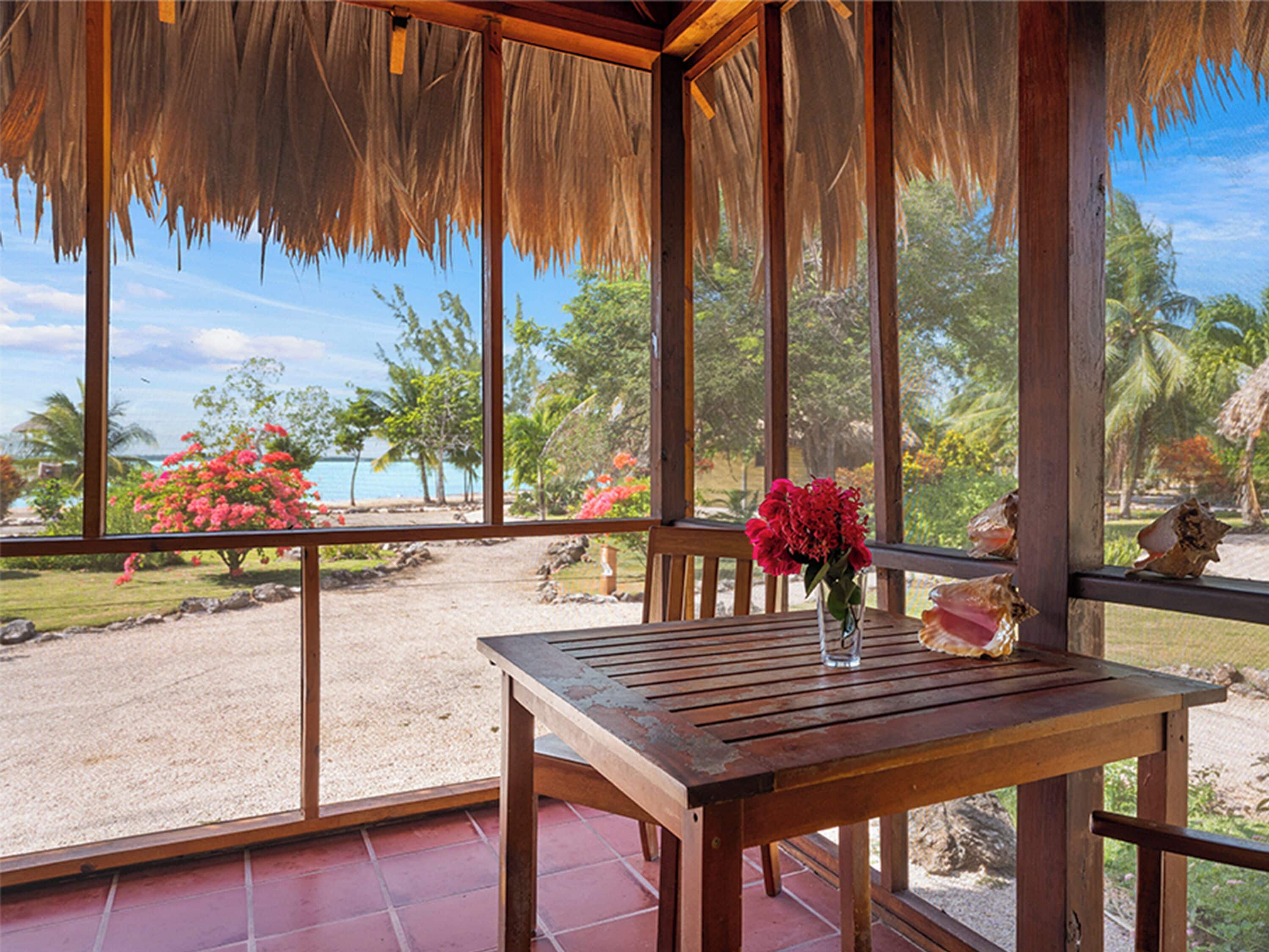 Bungalow, vue jardin | Terrasse/Patio