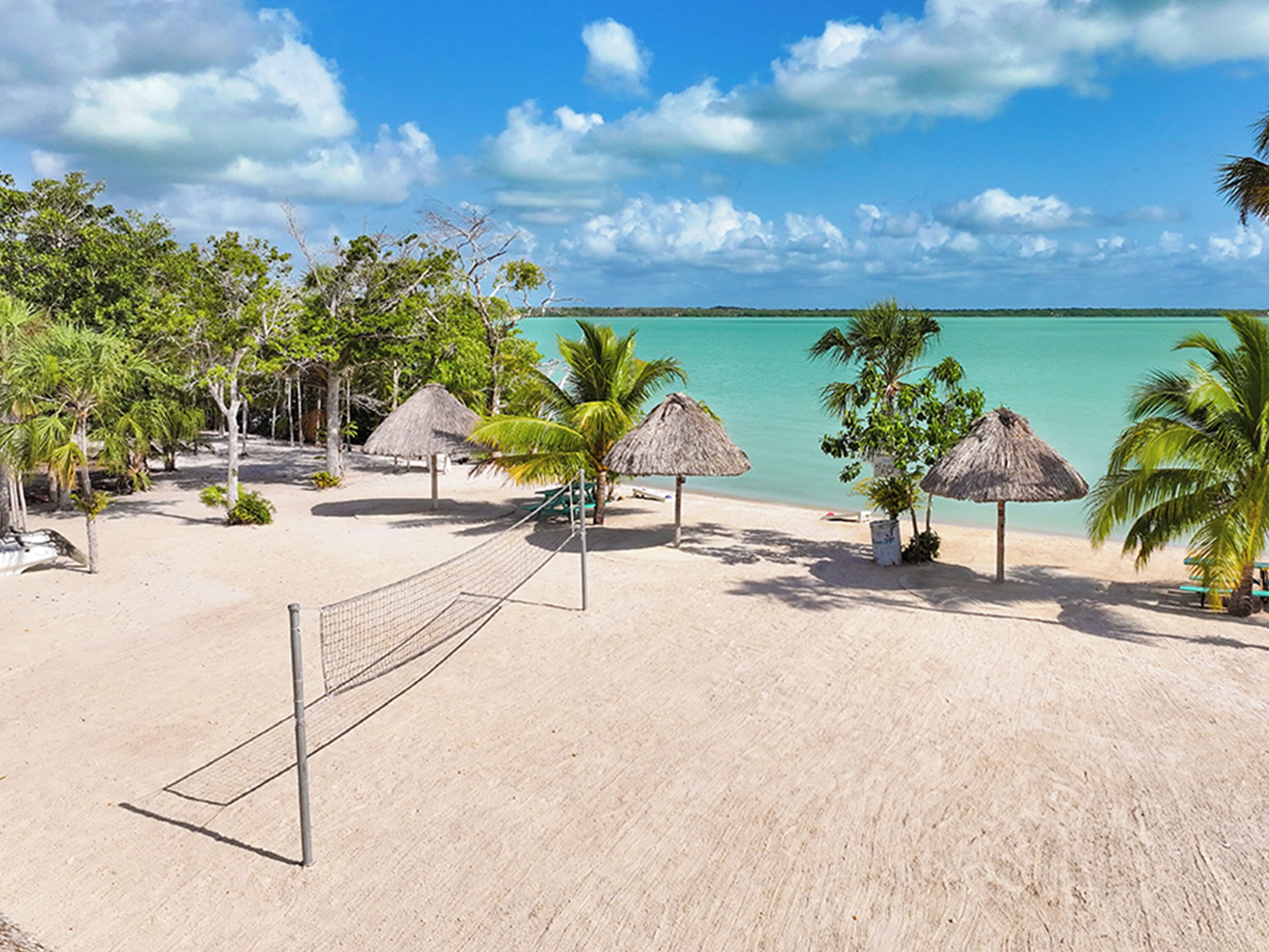 Una playa con una red de voleibol, palmeras y sombrillas de paja.