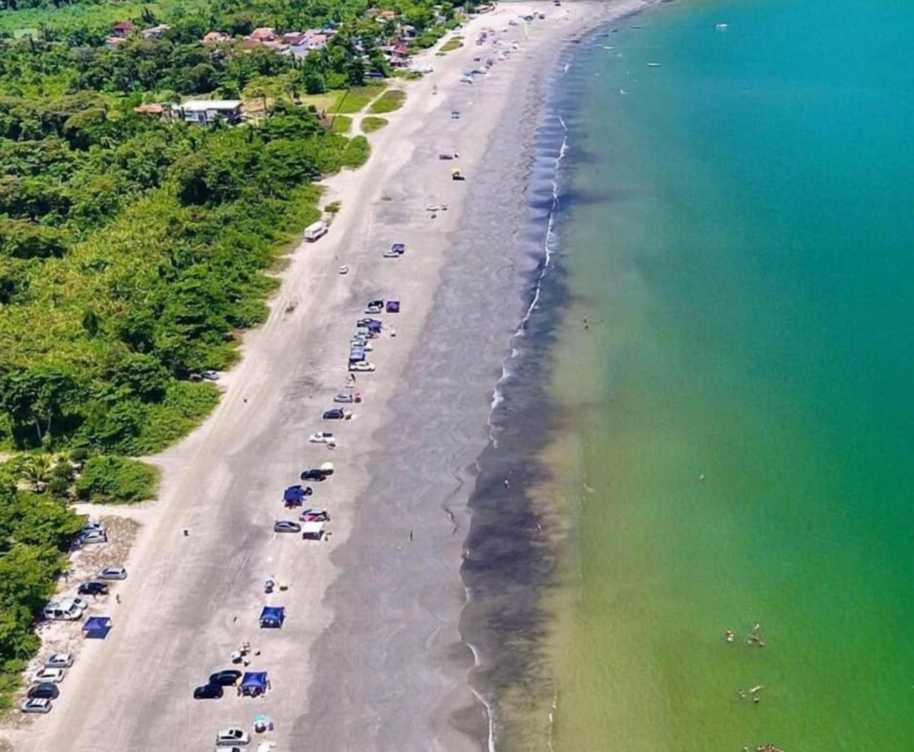 Oversigtsbillede af en strand med rækker af parkerede biler og strandparasoller, en tydelig afgrænsning mellem sand og vand, og en række træer i baggrunden.