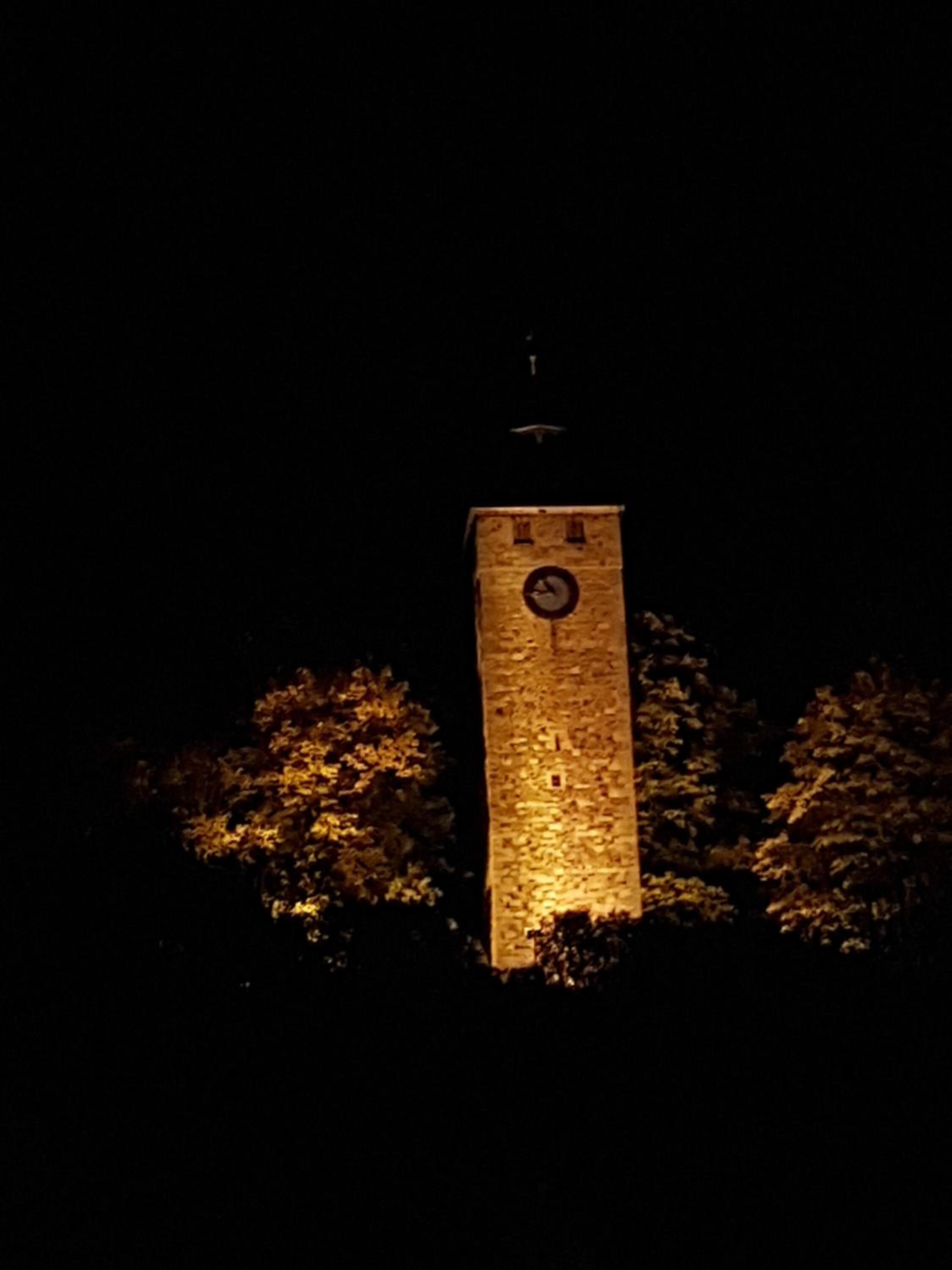 Una torre con un reloj en la parte superior, rodeada de árboles.
