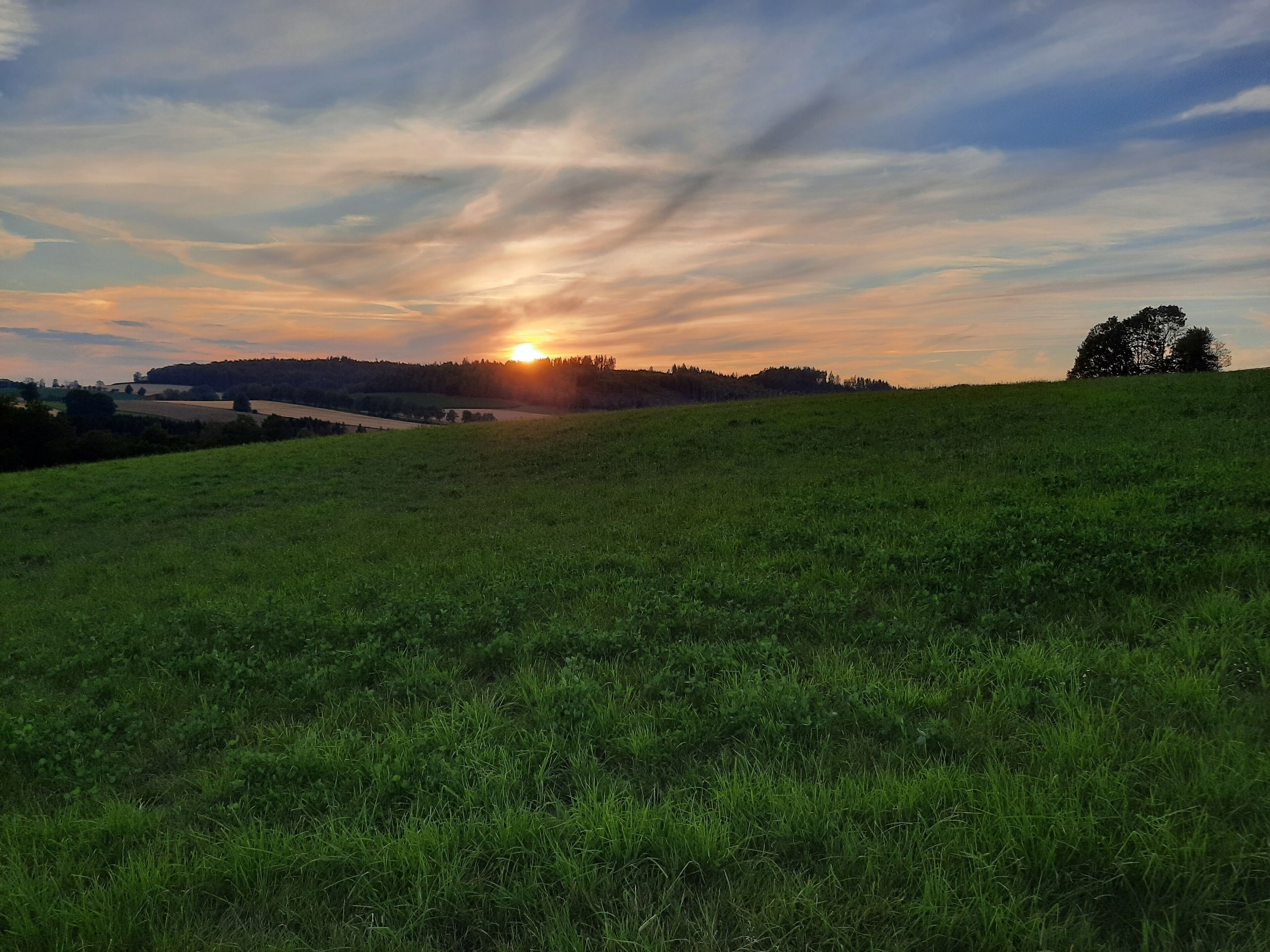 Ein grünes Feld mit Sonnenuntergang im Hintergrund.