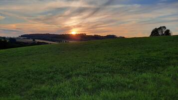 Ein grünes Feld mit Sonnenuntergang im Hintergrund.