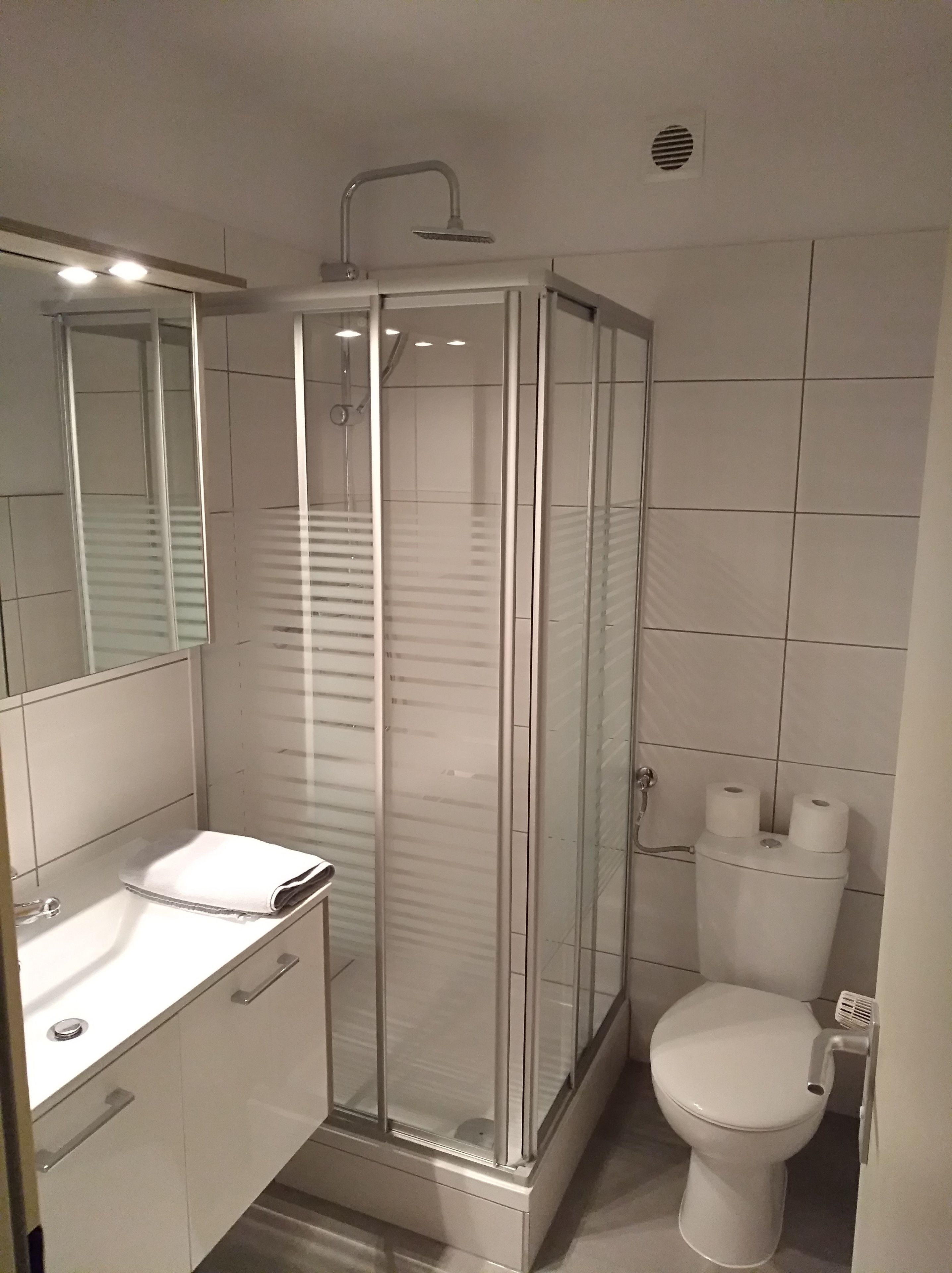 A modern bathroom with a glass-enclosed shower, a white sink, and a toilet.