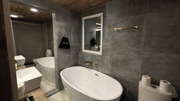 A modern bathroom with a freestanding bathtub, a large mirror, and a toilet.