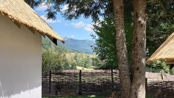 Cabin, 1 King Bed | View from room