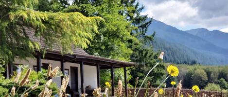 A lodge with a covered porch, surrounded by mountains and greenery.