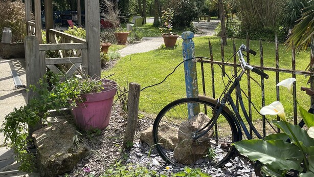 A garden with a wooden pergola, potted plants, a bicycle, and a stone pathway.