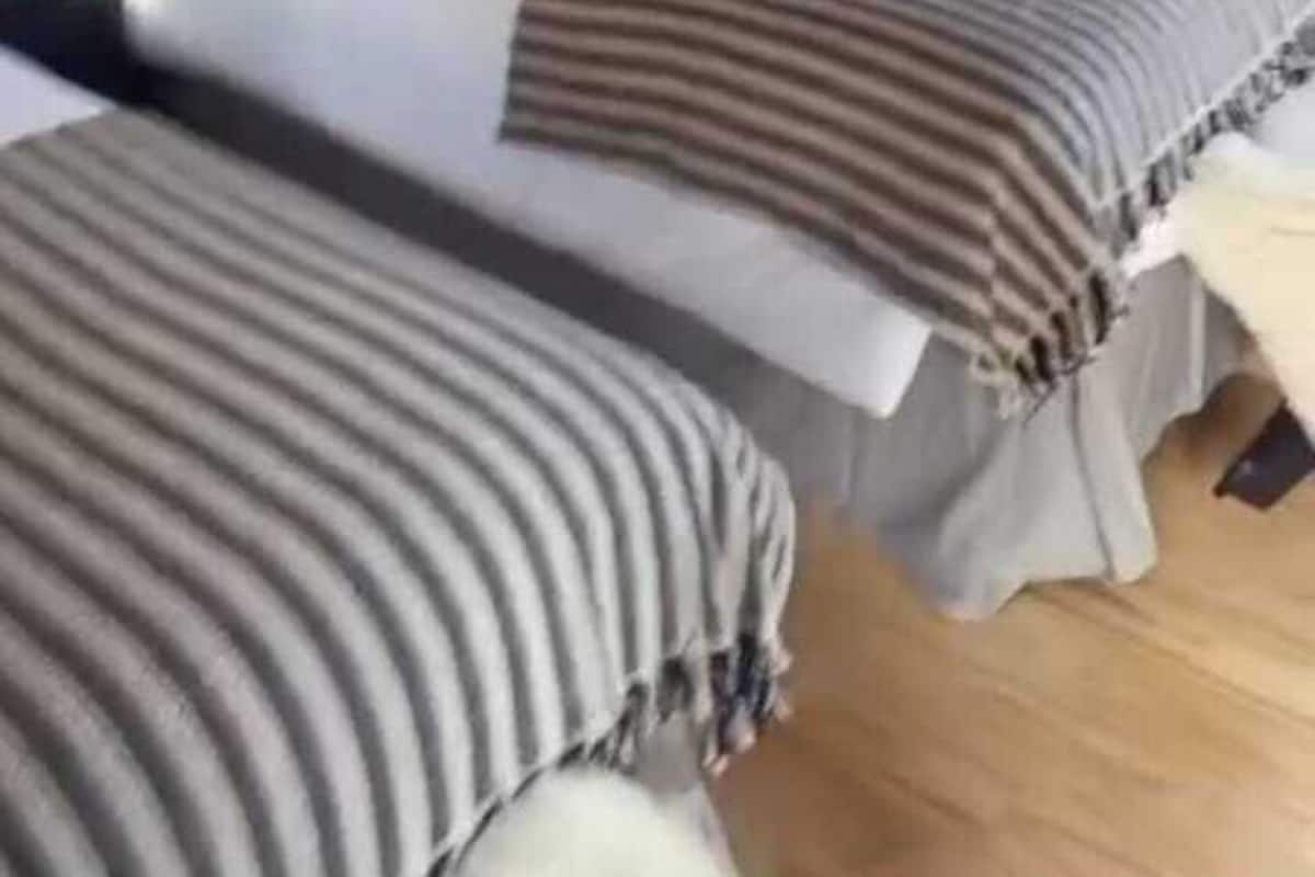 Family Apartment, 1 Bedroom, Ensuite