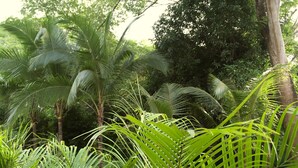 View from property - El Pasito (Tempate)