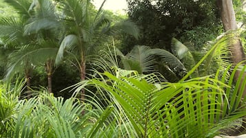 Pemandangan dari properti
