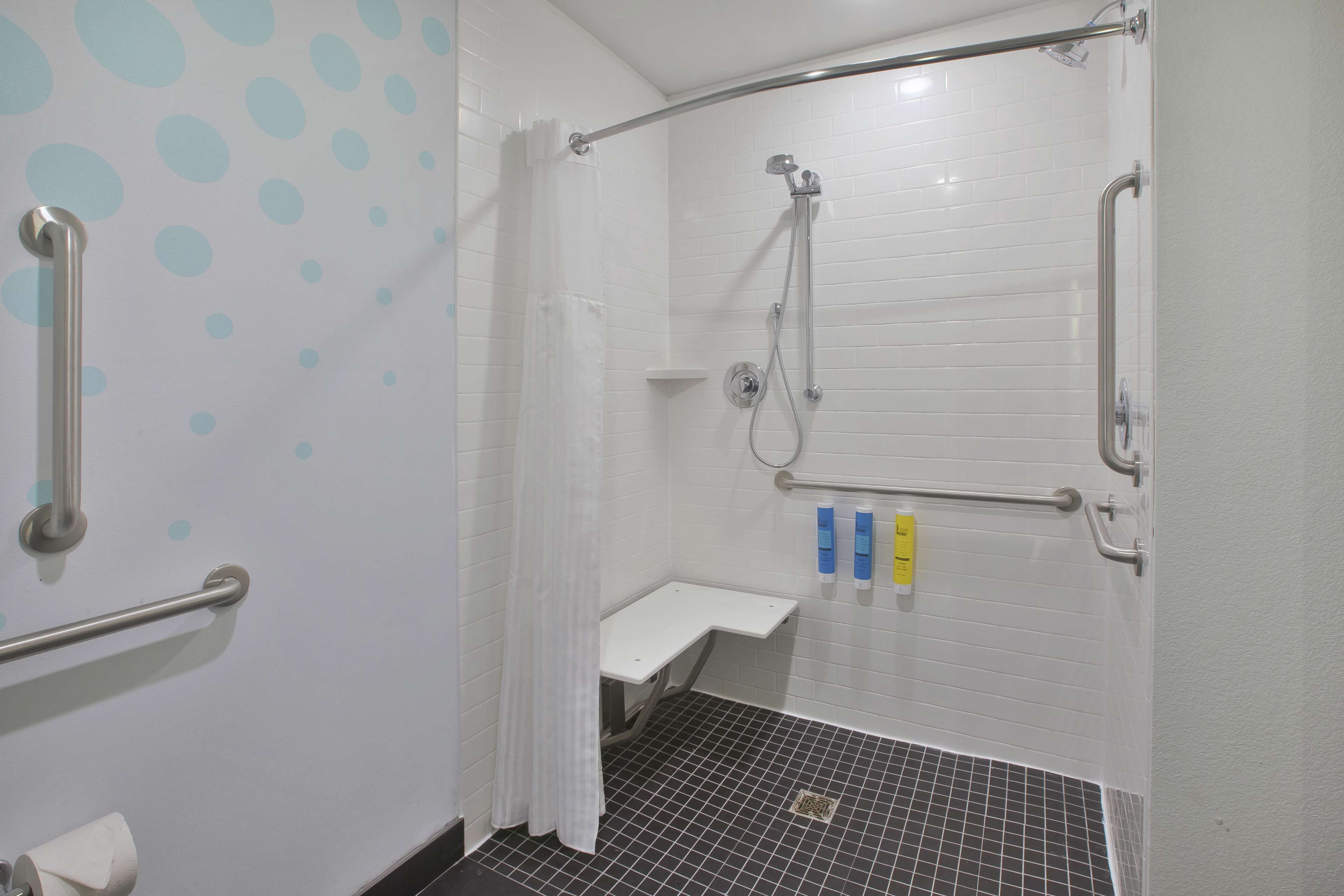 room, 1 king bed, accessible (hearing, roll-in shower) | bathroom shower