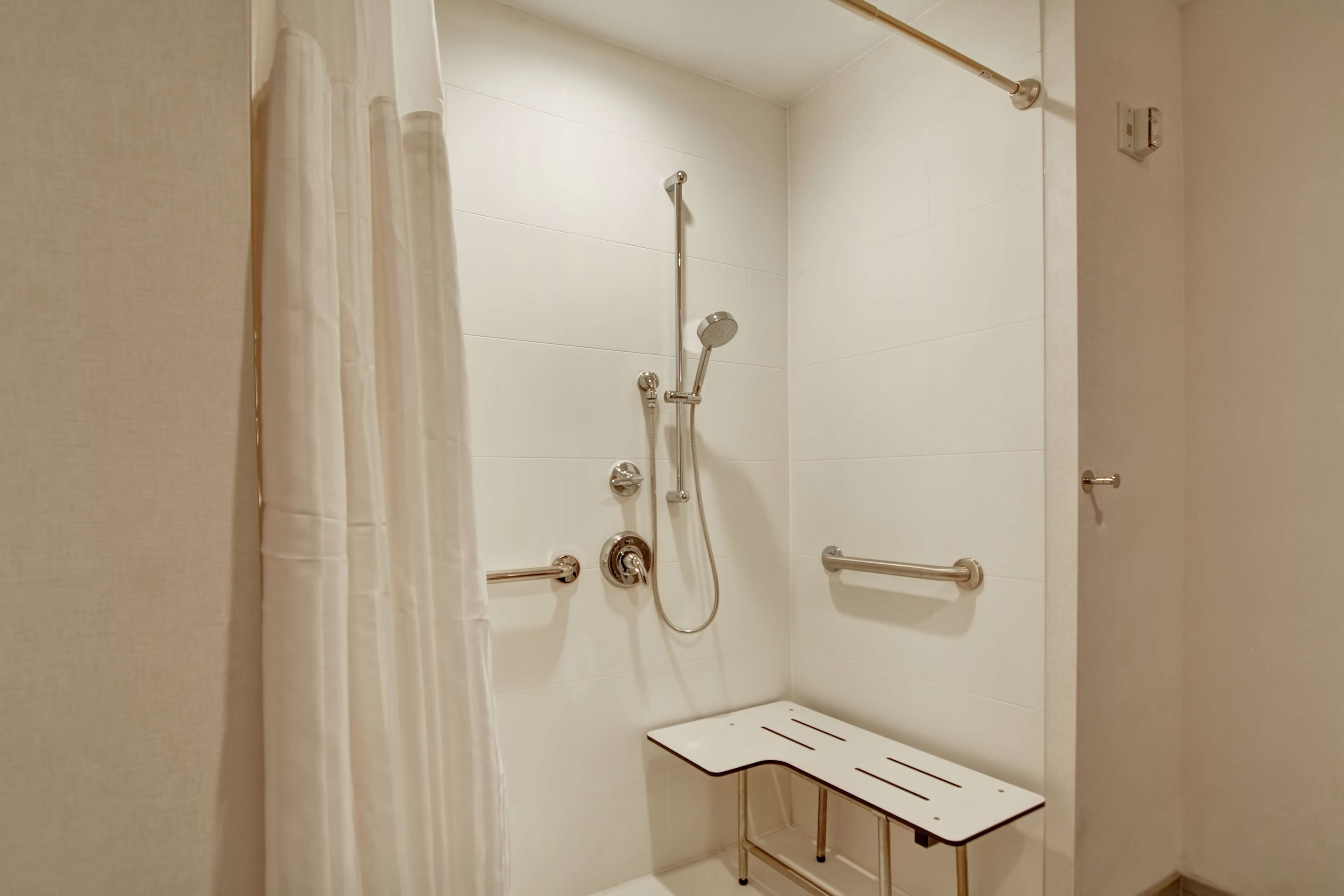 room, 1 king bed, accessible (roll-in shower) | bathroom shower