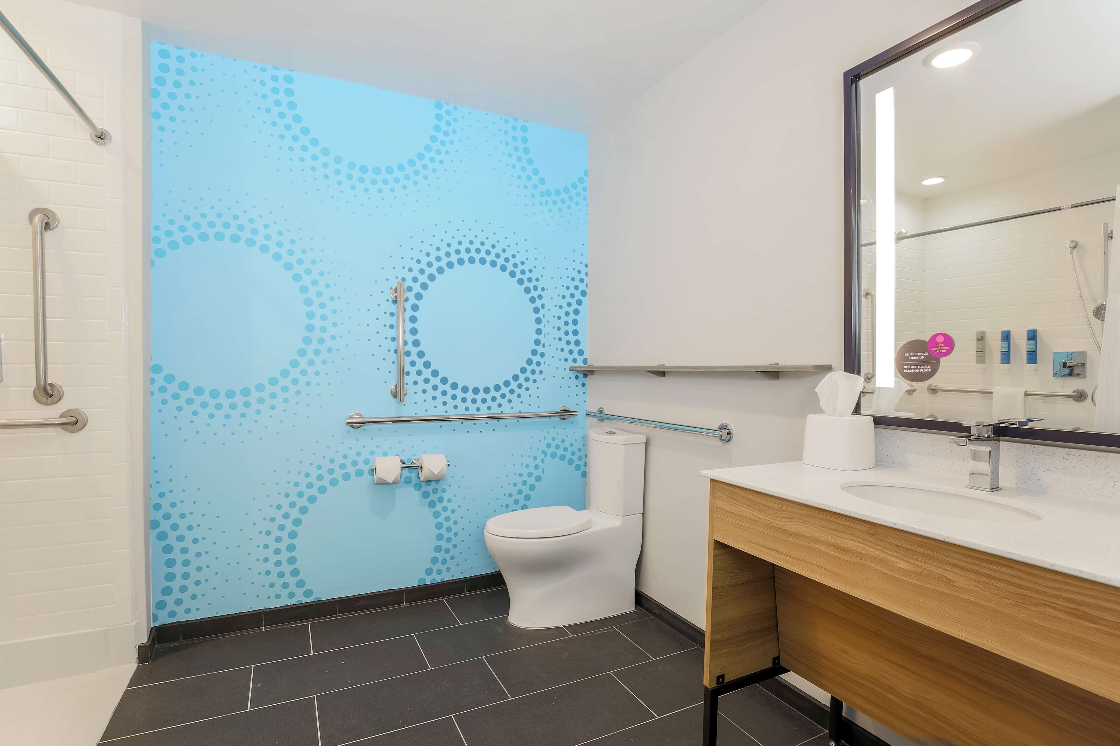 room, 1 king bed, accessible (hearing, roll-in shower) | bathroom shower