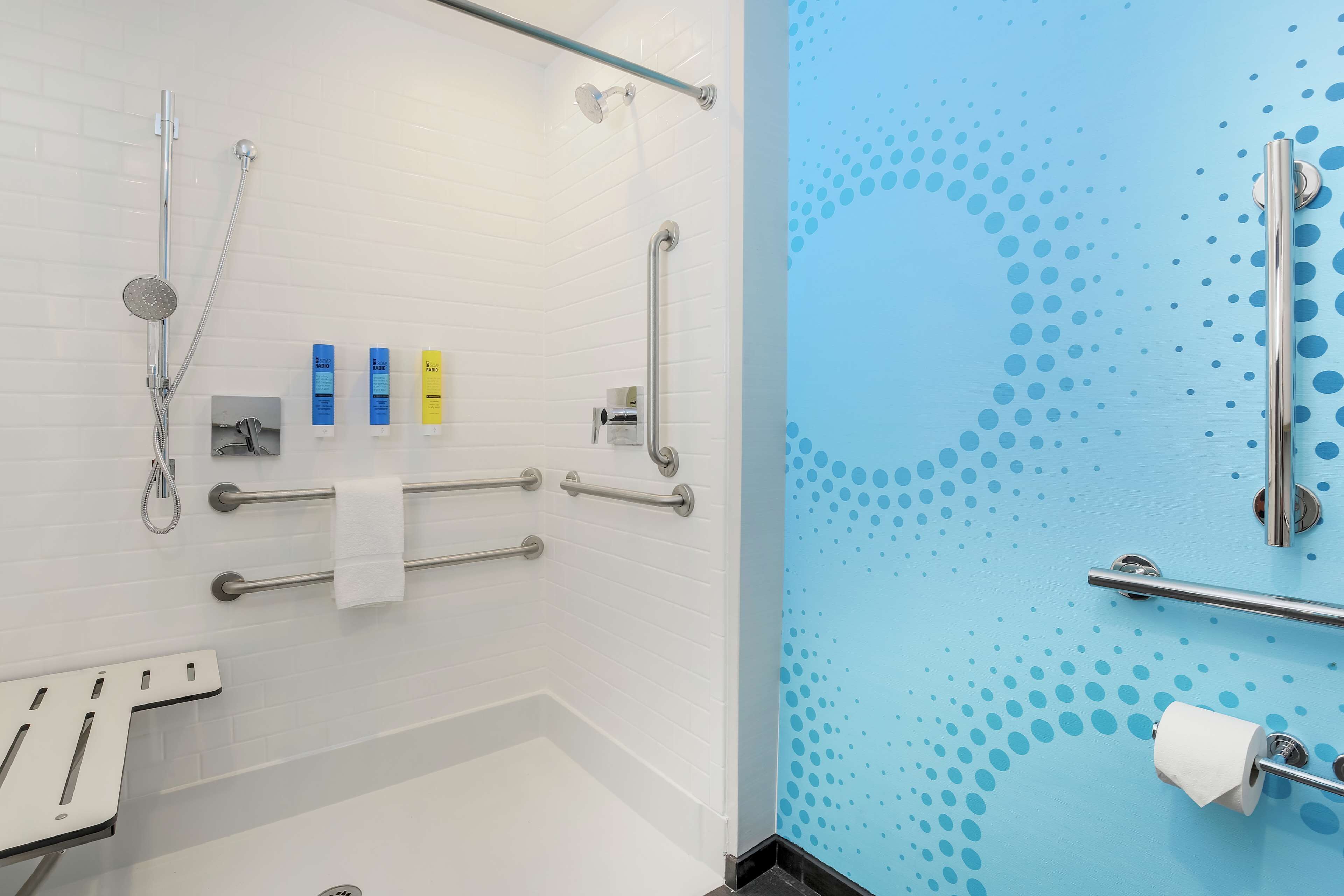 room, 1 king bed, accessible (hearing, roll-in shower) | bathroom shower