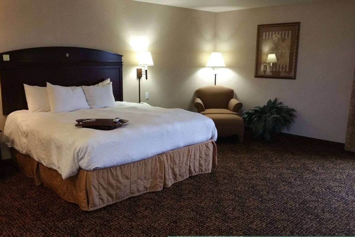 Ein Hotelzimmer mit einem großen Bett, zwei Nachttischlampen, einem Sessel, einer Pflanze und einem Bild an der Wand.