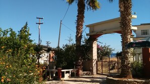 Una entrada pavimentada con palmeras y un arco de piedra.