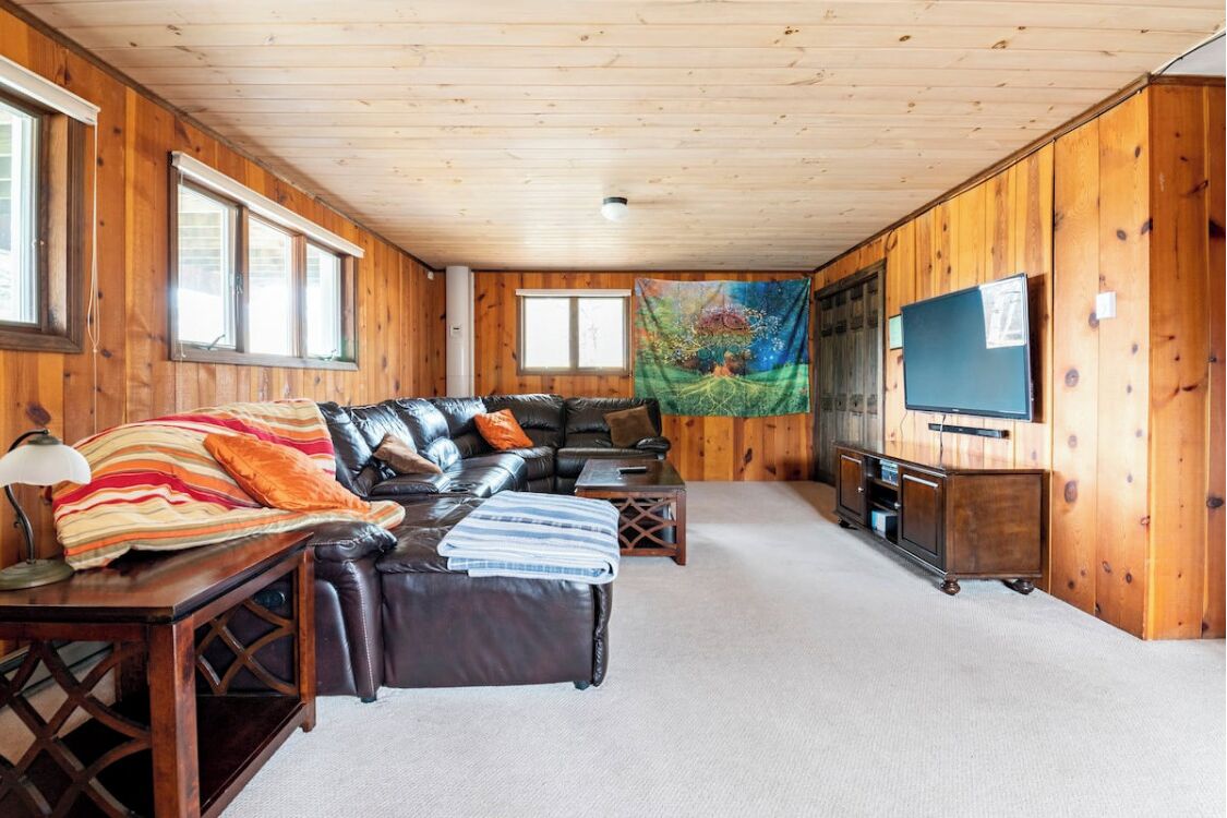 Smart TV, fireplace, DVD player, books