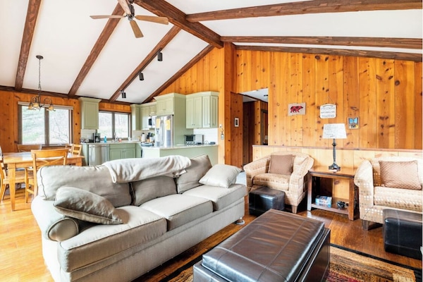 Smart TV, fireplace, DVD player, books