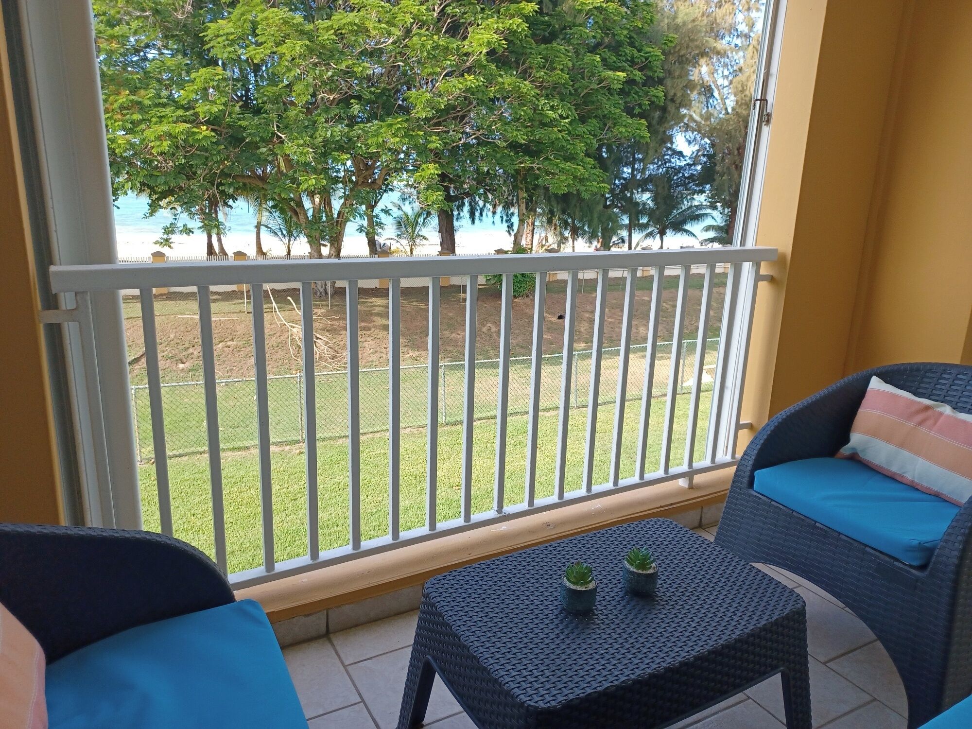Un balcon donnant sur un espace verdoyant et des arbres, une chaise en osier avec un coussin, et une petite table agrémentée de deux plantes en pot.