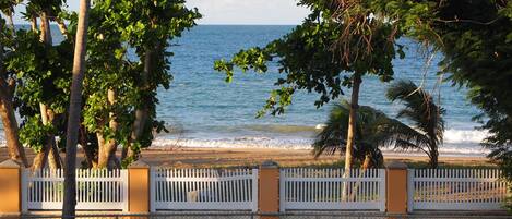 A beach with a white fence and trees in the foreground.