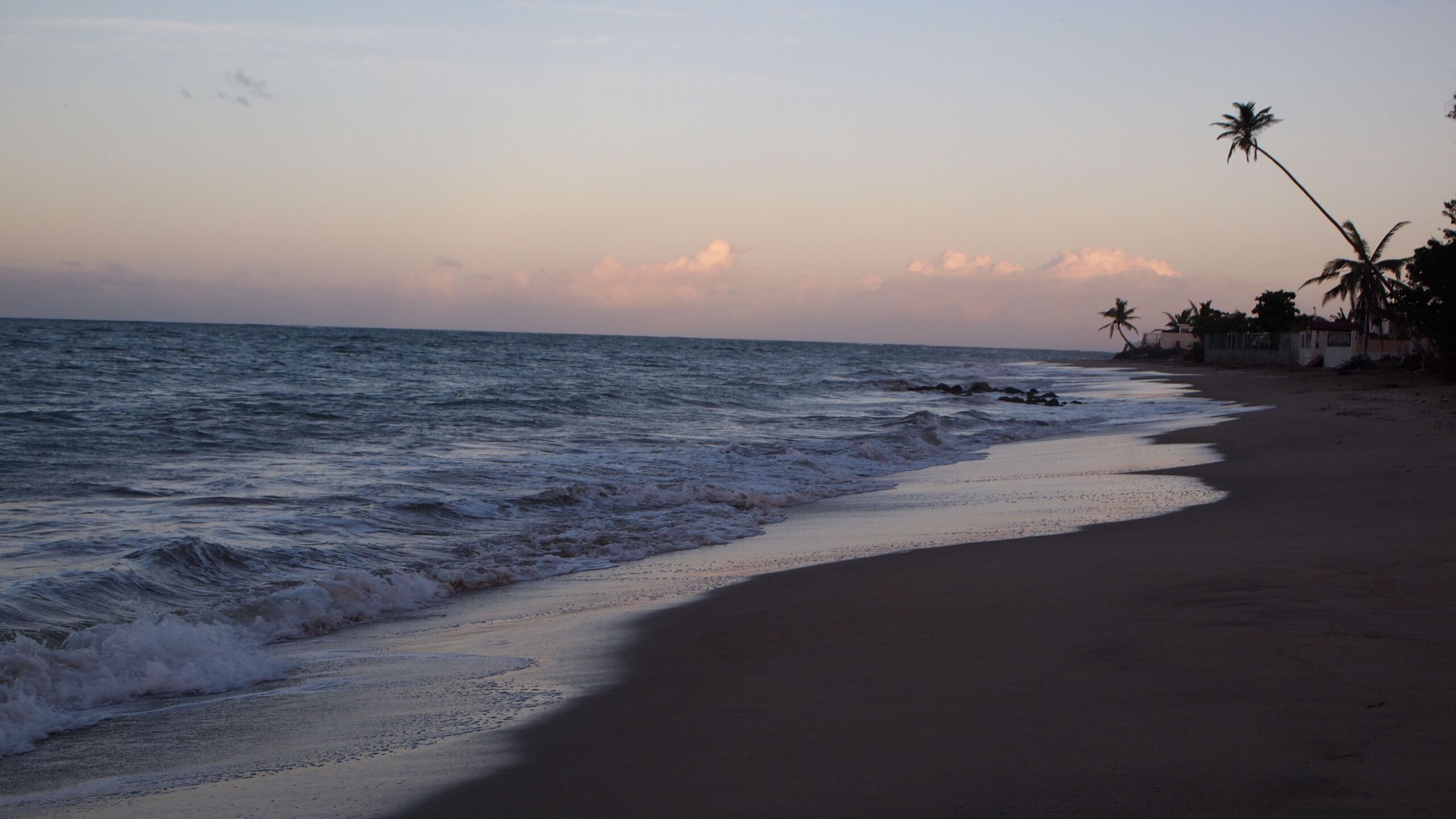 Ein Strand mit Wellen, blauem Himmel und Palmen.