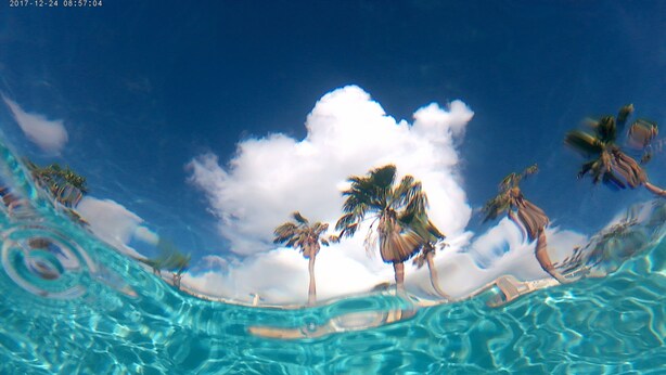 Vista despejada de una piscina con palmeras y cielo azul.