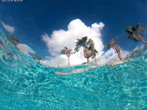 Puerto Rico Malibu Beach Front: A true 3 bedroom beach front property.