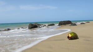 Una playa con rocas grandes, olas tranquilas y un coco en la arena.