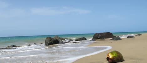 A beach with large rocks, calm waves, and a coconut on the sand.
