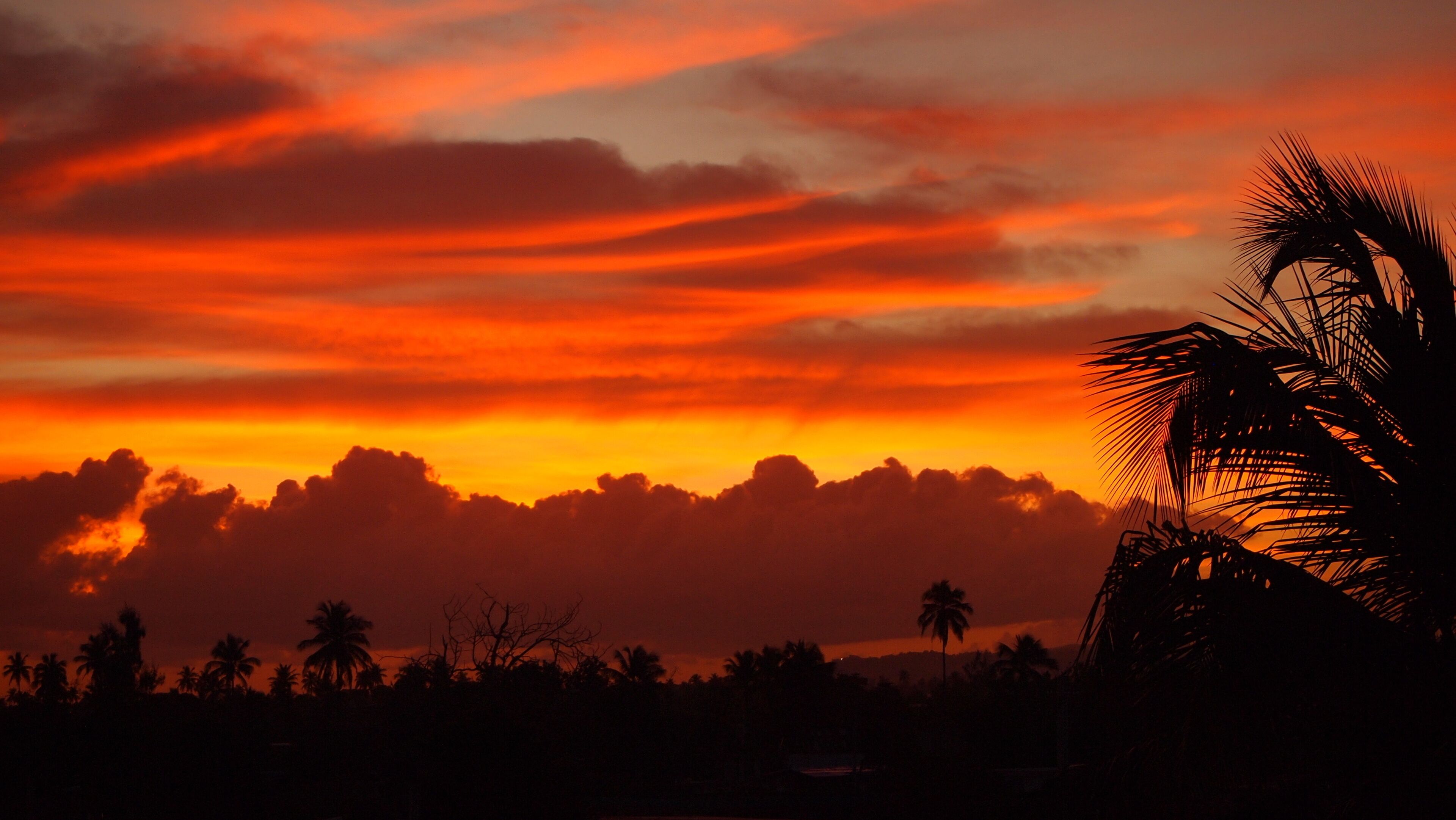 A sunset over a landscape with silhouettes of palm trees and a mountain range.