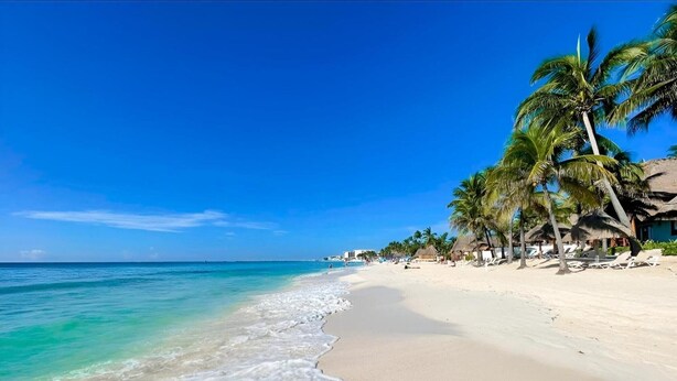 A beach with clear turquoise water, white sand, and palm trees. There are beach chairs and umbrellas along the shore.