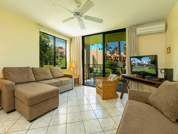 Televisio, DVD-soitin