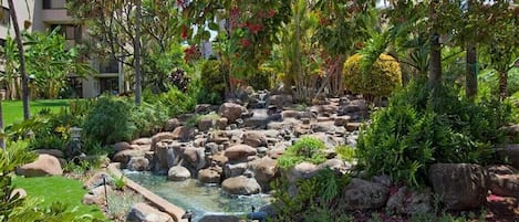 Un giardino curato con un piccolo elemento d'acqua circondato da rocce e diverse piante.