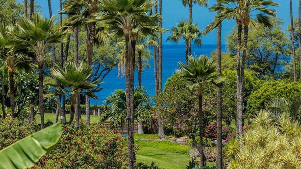 A tropical garden with tall palm trees and a view of the ocean.