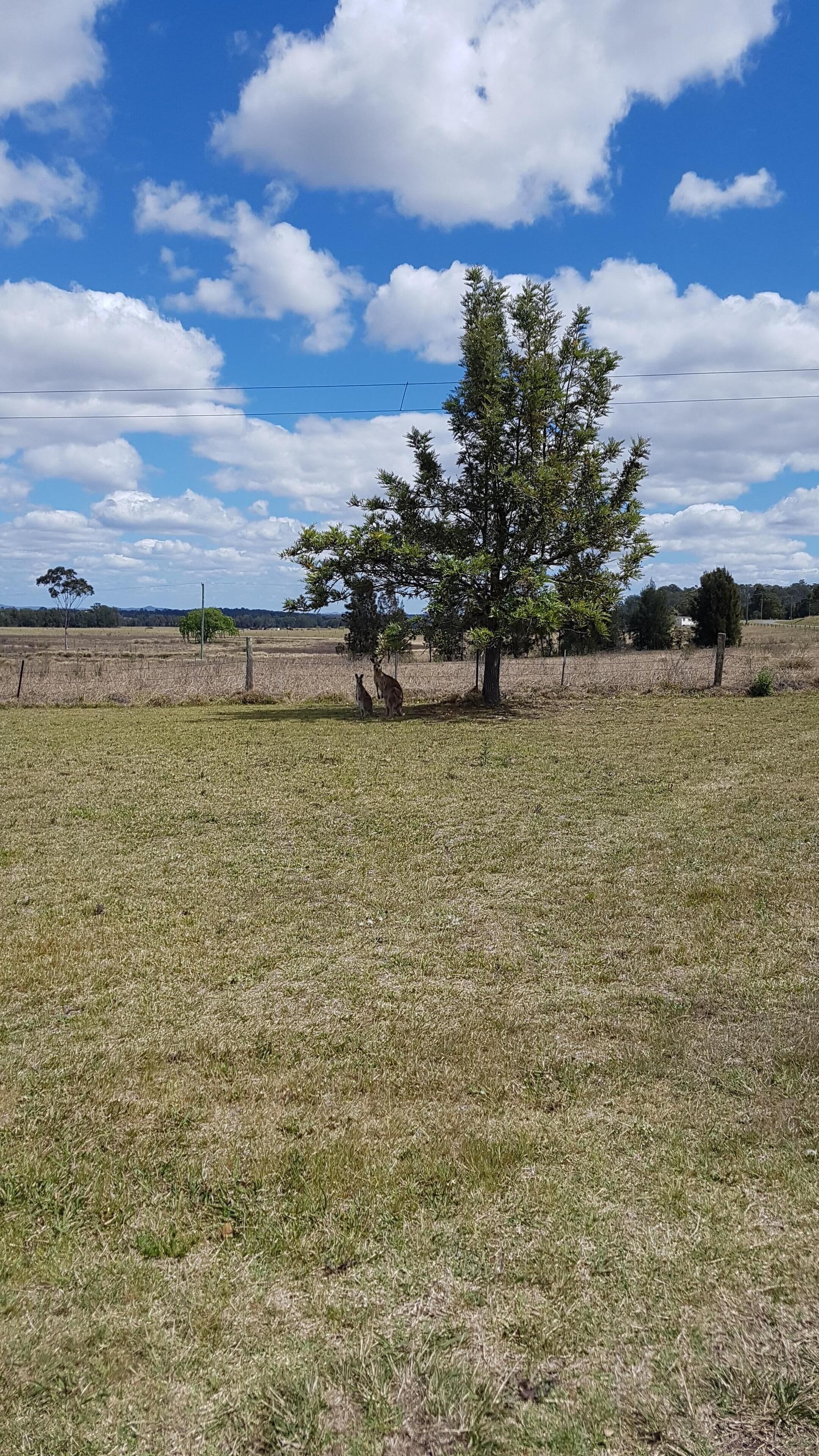 Summerfield - your home in the Hunter — image 28