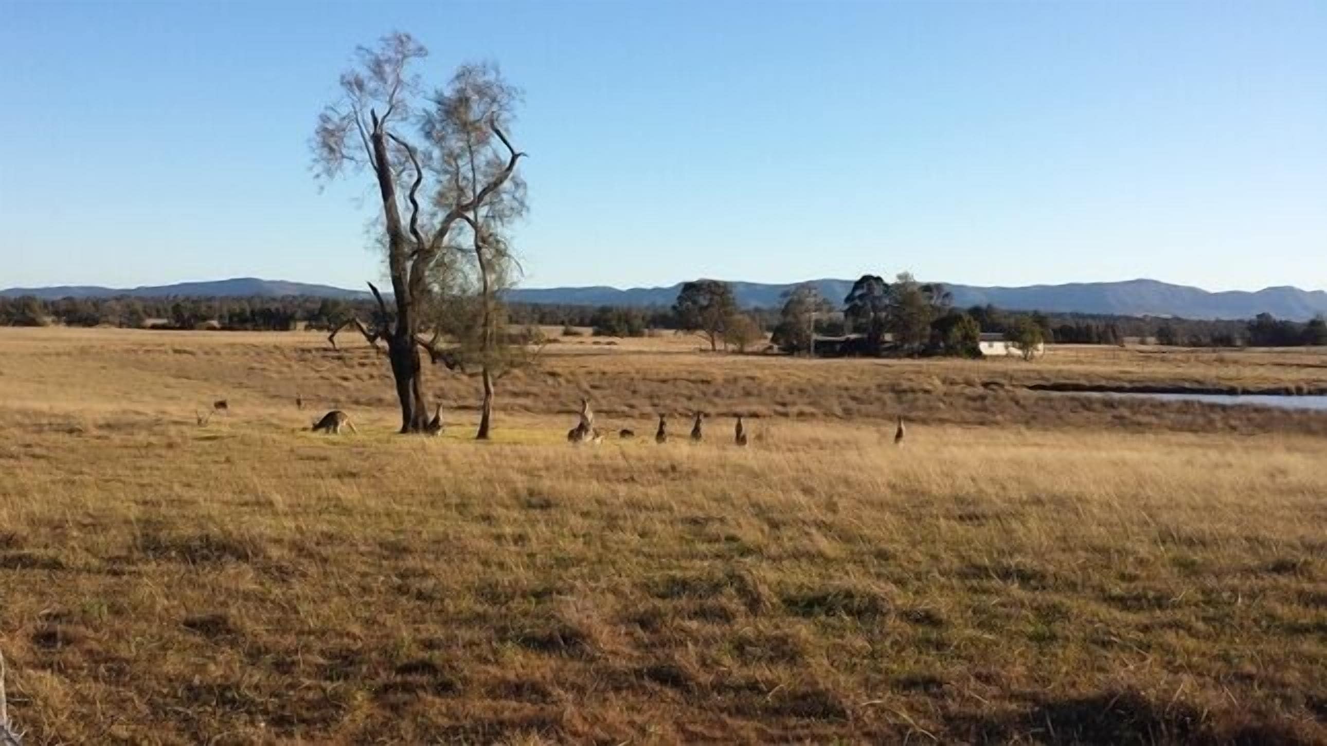 Summerfield - your home in the Hunter — image 2