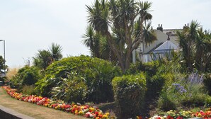 Un jardín ajardinado con diversas plantas y flores, una palmera y un edificio al fondo.