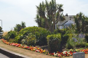 المنطقة المحيطة بالمنشأة